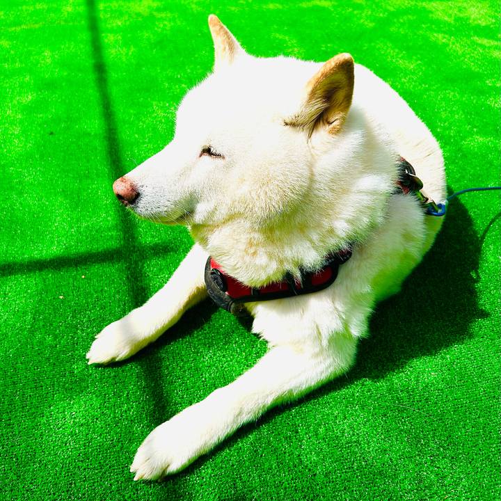 6e5401c4 4d09 4e26 b217 cd88ba7654d9 1714188510496