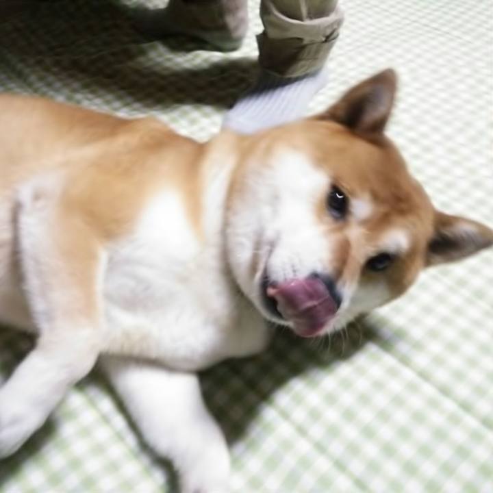 6e541103 ab63 4120 a17a 9c7ac7412d23 1530887140159