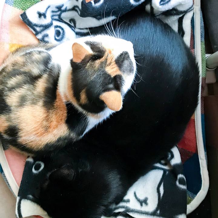 6e549d34 6d27 4ffe 9c9b 4dd4eda490bc 1510879684425