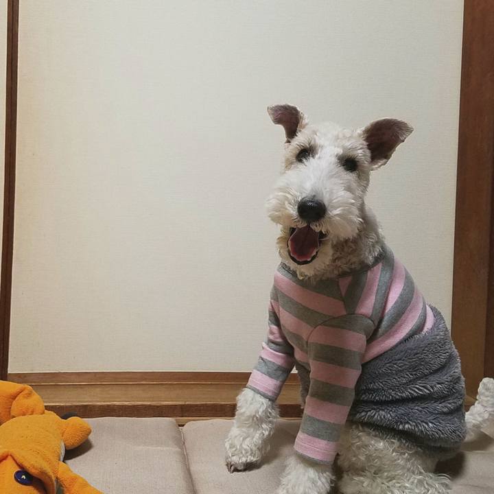 6e54a6a0 fdbf 4f2d 836e 24229bb73dda 1576679723695