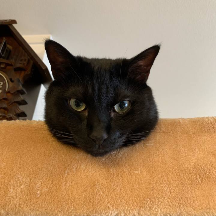 6e54b6ff 3252 4086 b0b4 3981e079870a 1719198203331