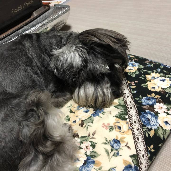 6e54c82c f835 489b a8a7 a5cddd55ef48 1621516069946