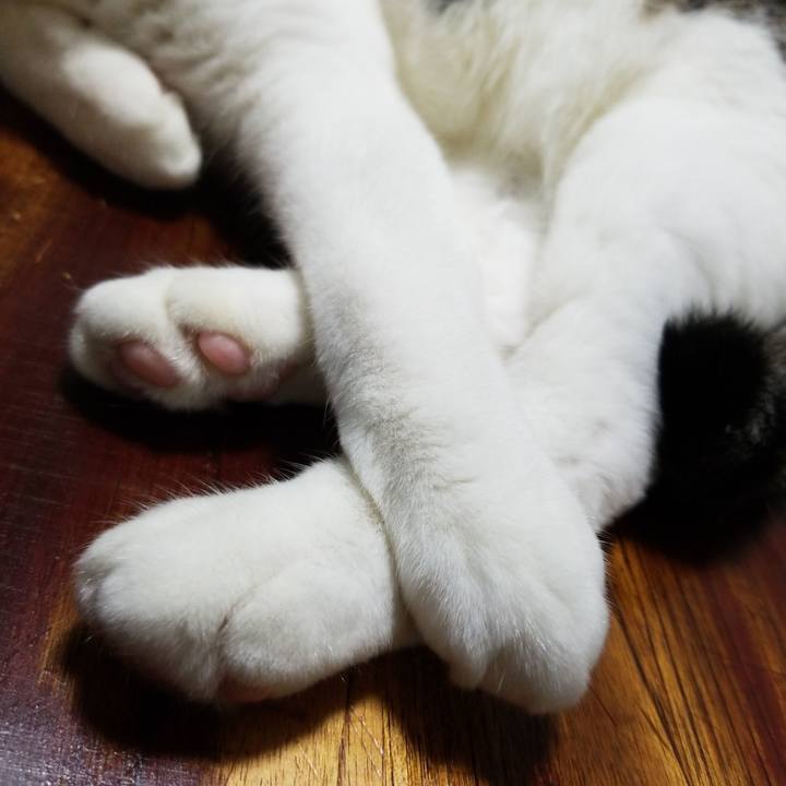 6e55055e 59b0 475c aed3 90c8807e7cb7 1564316758369