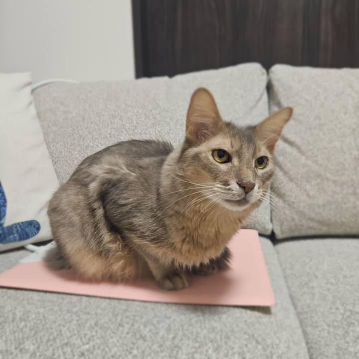 6e5516eb 2952 4df9 9b93 187a48cd0414 1761042268384