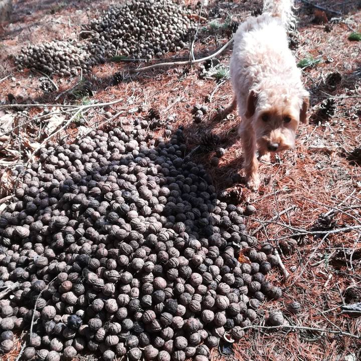 6e557f83 ffab 4b60 8b76 20255a2d7c89 1555230440034