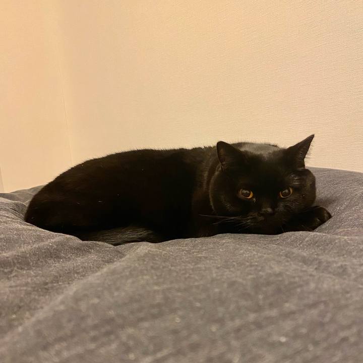 6e55ce0d 5973 4fee bde1 f5c5b29865a1 1701784320022