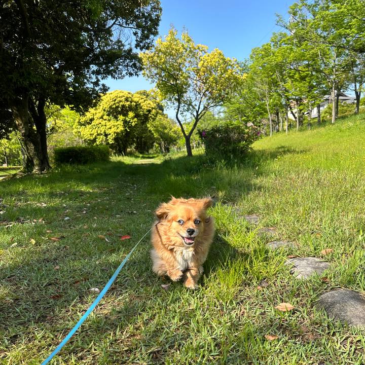 6e55d64d dbd0 4707 9faf cf5643e335d9 1682900539365