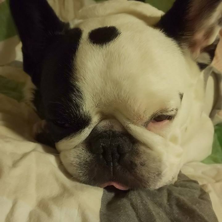 6e560bad 4239 4027 9a71 19ab383c1ea6 1631157686365