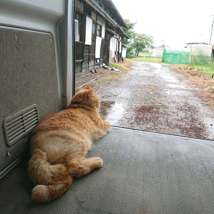 6e564126 03c9 4df4 9e2b 3de04d745110 1658045088957