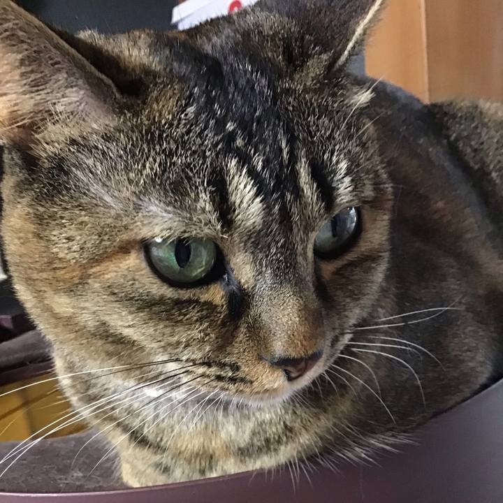 6e566e25 5cb5 4cb4 8c0a 028abe010865 1663576698742