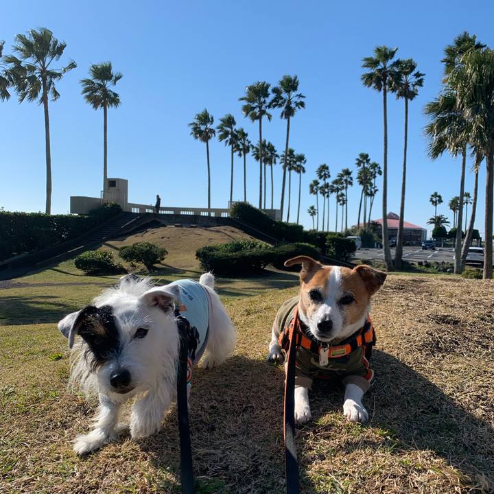 6e567671 1192 4d10 acfe eb68485311b6 1638581010452