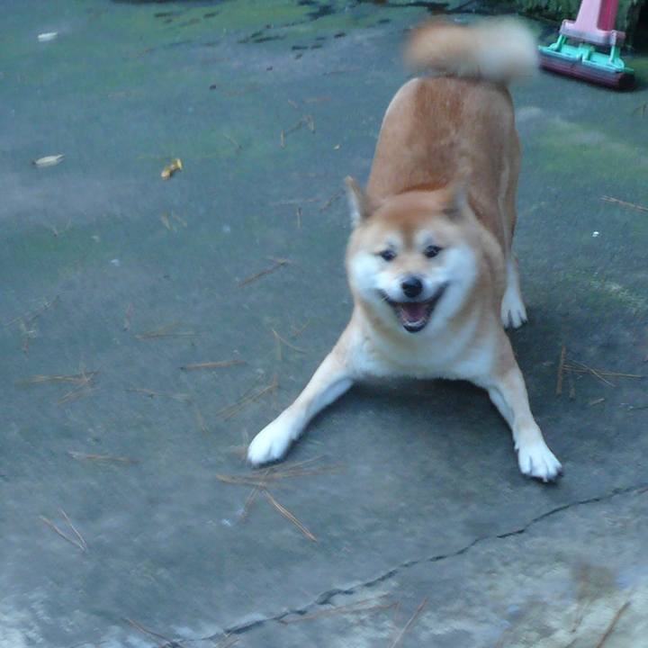 6e5678e0 fa1a 43f6 8b60 8cf4b03d3f09 1647066210942