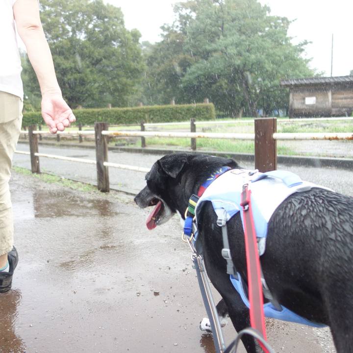 6e5698a9 ec94 488a 88f6 a8701d35de31 1692836494817