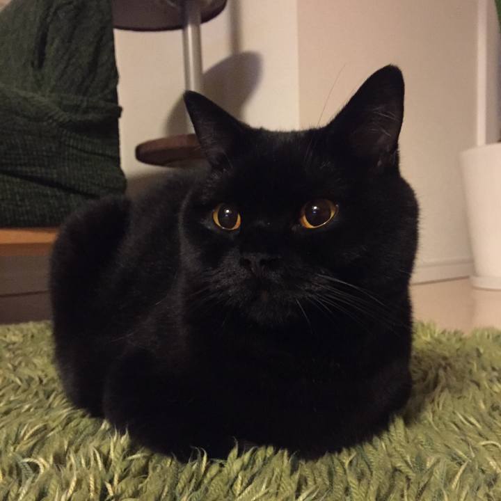 6e56fde3 061f 4d18 b3cc 4309340d6d8a 1533469329586