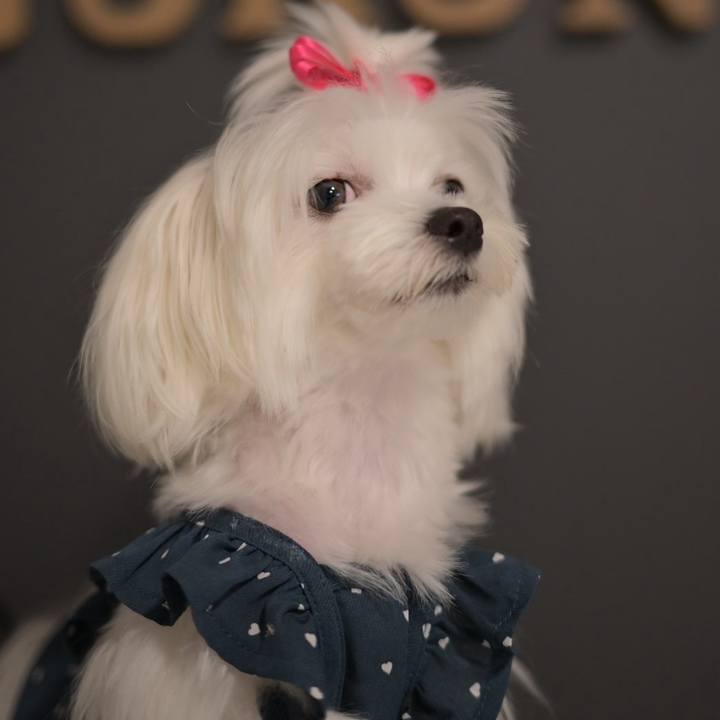 6e56fea3 983d 449d 9c6f b10019c1011d 1724986479341