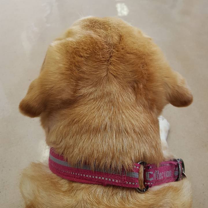 6e5719bf 9c40 4856 bf5b bef696aee3ec 1542001528841