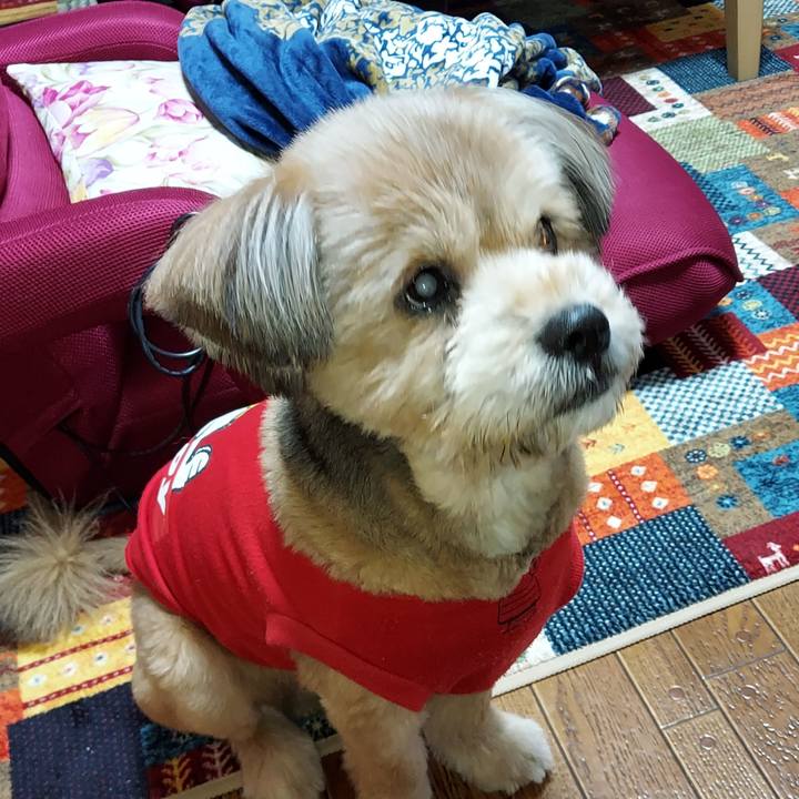 6e5728f3 538a 4a0e 86e0 606d1ceef6e8 1643583960144