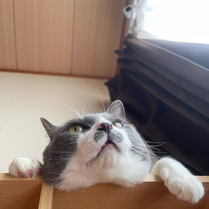 6e578b9f a2e0 4472 9ea8 3ea1861b6082 1747788731597