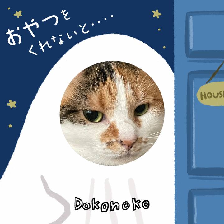 6e57bf6c 4b5a 4721 aaa4 8b5a72d9fbc1 1729157368726