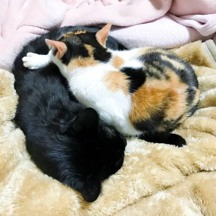 6e57d8fe d4ba 4a18 8864 2e233078ed96 1524752972790