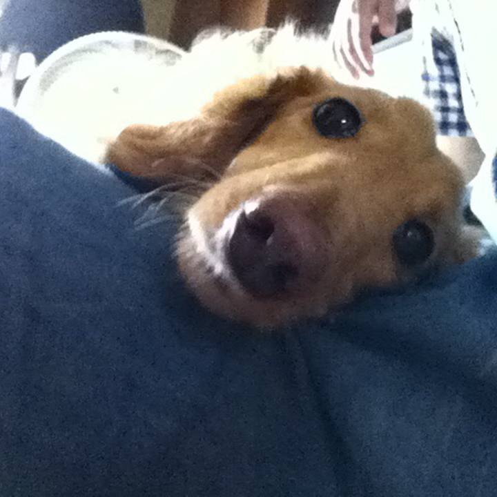 6e57e812 0264 4e9a 982d 4f61cdb651a3 1593298557301