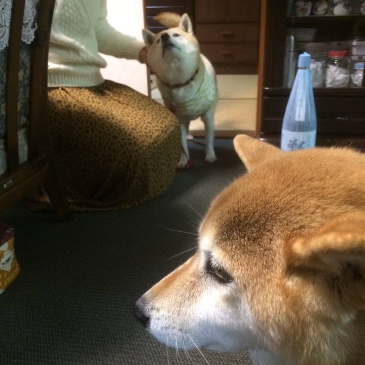 6e57ea30 08ec 4eb6 9ece 8c05c7353a4f 1546405441216