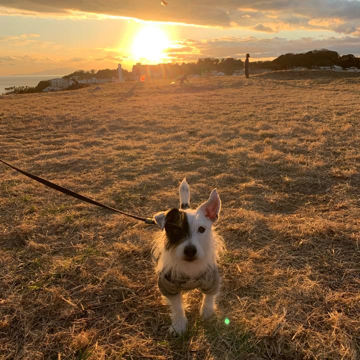 6e57ebc6 c51c 4117 95ca 41e127f7335f 1672905399341