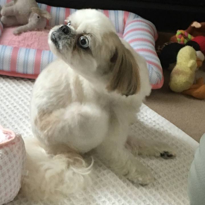 6e583348 bc9c 4542 be96 62fe0964027c 1532763509754