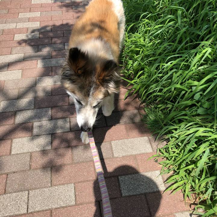 6e5841fa a651 484f 95cb 86d334530d3e 1531539795939