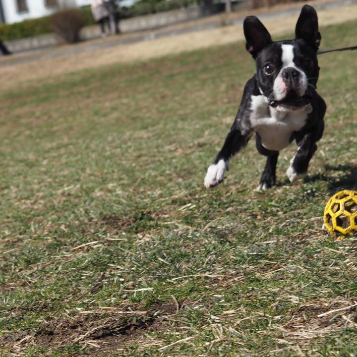 6e584d58 70aa 4a6d bbbc d68fd923c63c 1613829021858