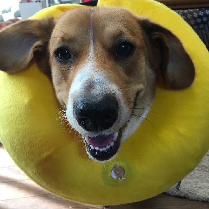 6e5871cf 7fe8 46d6 9527 a51cd563f3ab 1631664159692