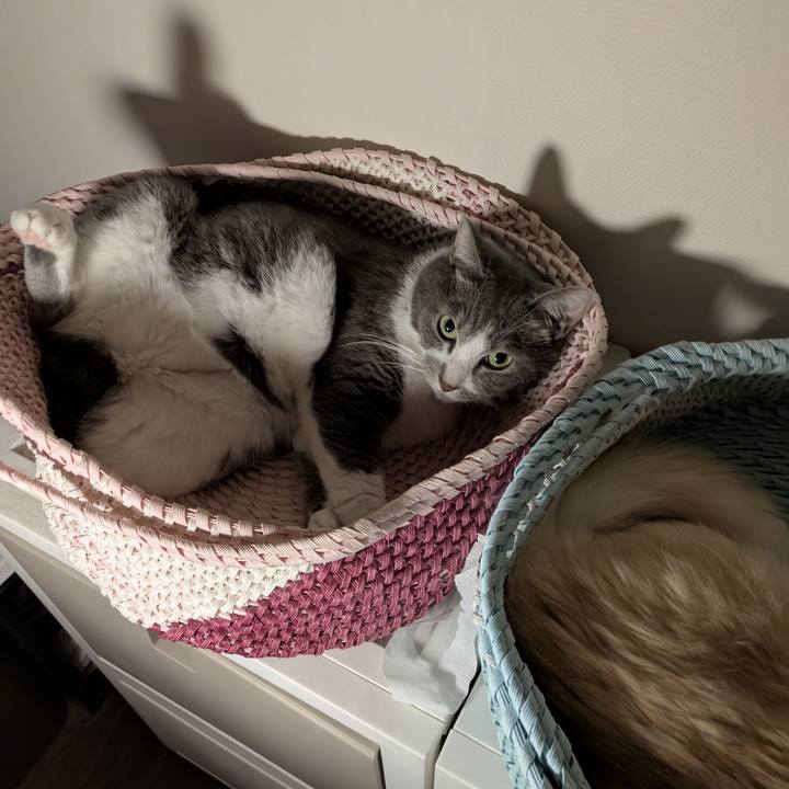 6e587c4b 6f96 4f97 8d74 7e6a9f95f4ae 1756732585850