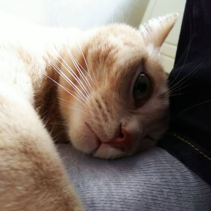 6e587ef4 2680 4a70 b8c8 d1158a5dea2f 1604722404666