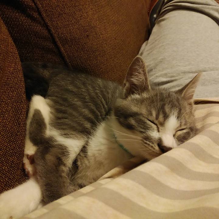 6e588812 96f1 49c3 aa79 66cee1d8f534 1563723713451