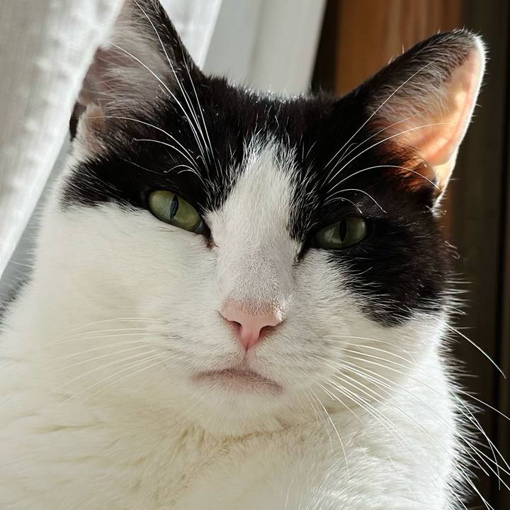 6e58b945 8028 497b 974a c3ee98653ec8 1712021293917