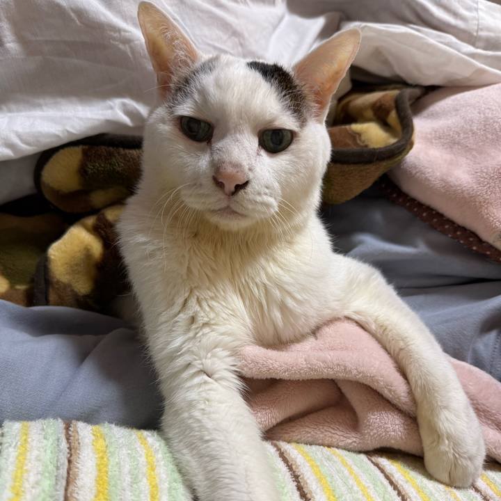 6e58bbfd d795 4577 9c1d 1bb9e8d6e111 1764885660029