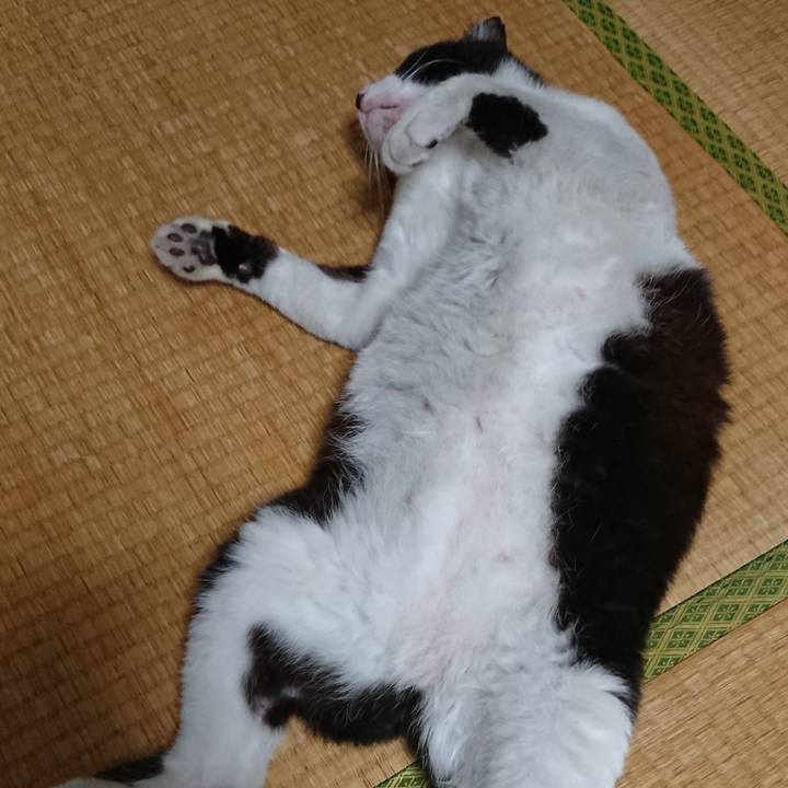 6e58d53b a1e9 4e28 a3ca da2992a91e2b 1565219778725