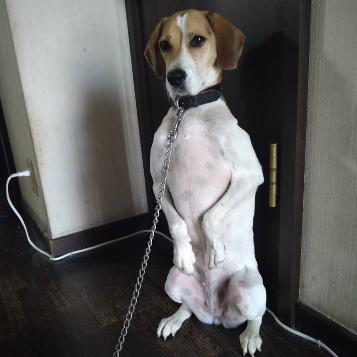 6e58ef8a 8c96 422f 9aad 5ea35eed2048 1634823383122