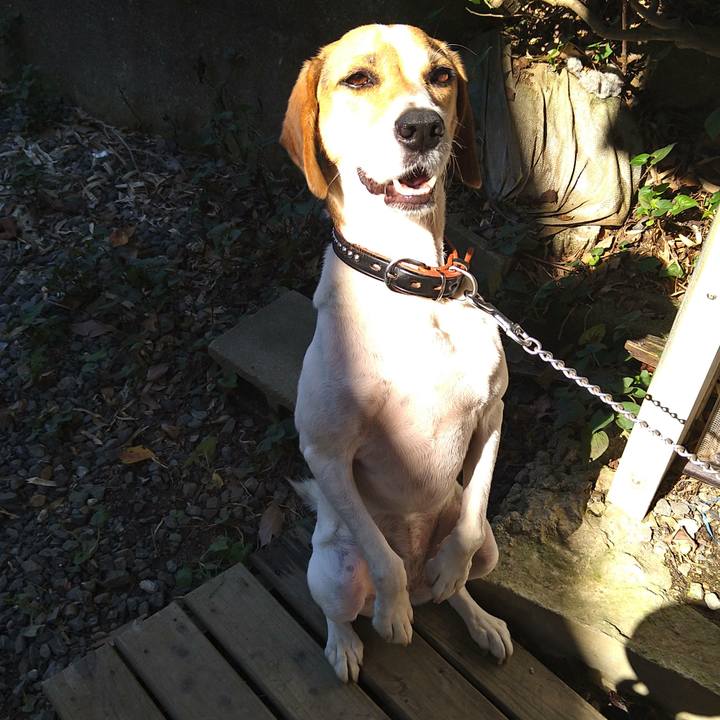 6e59007a 9bc5 447e b4bb 0dbcdd4b5eb1 1631946058594