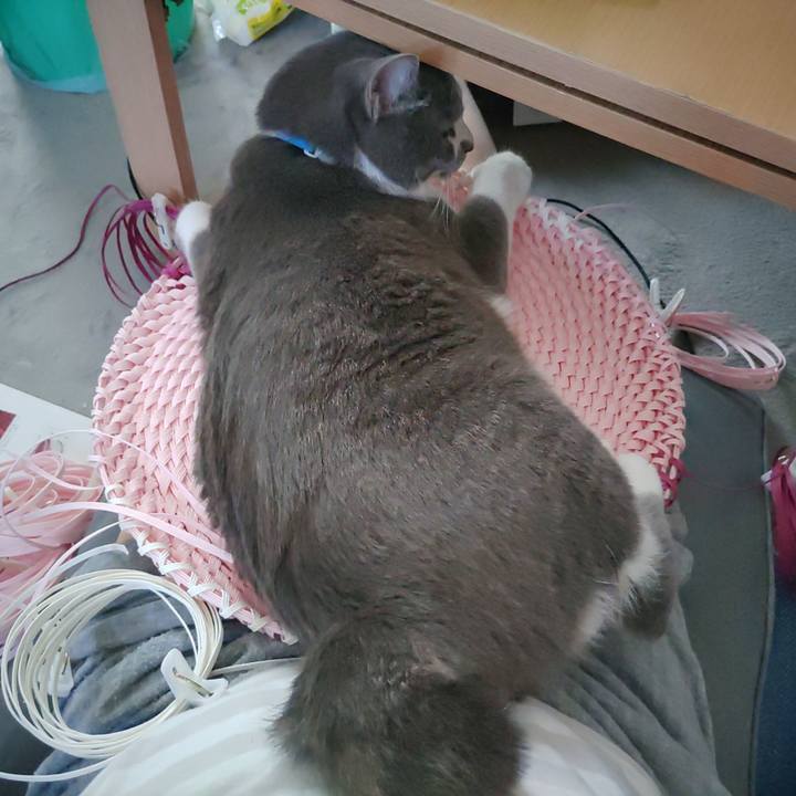 6e591bca e59e 4d05 be5e f610f57acb52 1653795320248