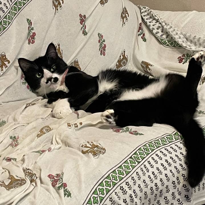 6e595291 230f 4408 9acb 3515d98f4a4d 1758982984303