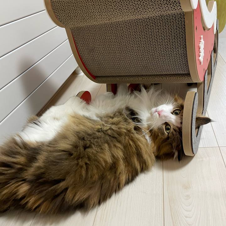 6e597cf8 8ea6 45d7 81fb 86ccc3476cc1 1701199613000