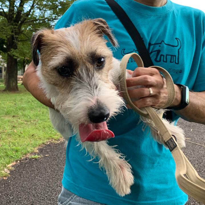 6e5992b2 1779 4a40 9271 0e7414804a2e 1599391376848