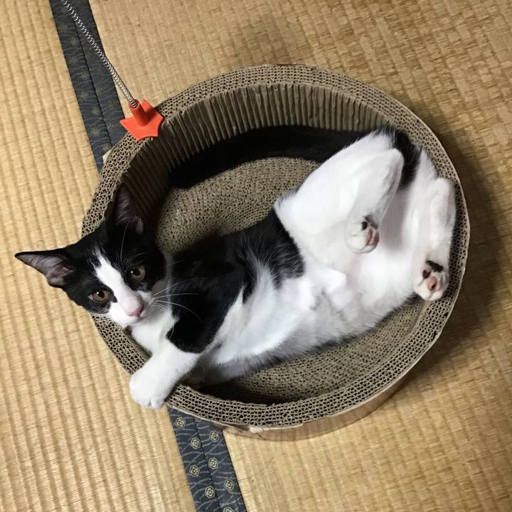 6e59a198 2a79 4cc6 b9bd a777dc38fdf3 1630390853039