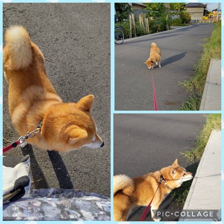 6e59d1bb fc2b 42be b1a2 9e2ce8286c86 1759199802906