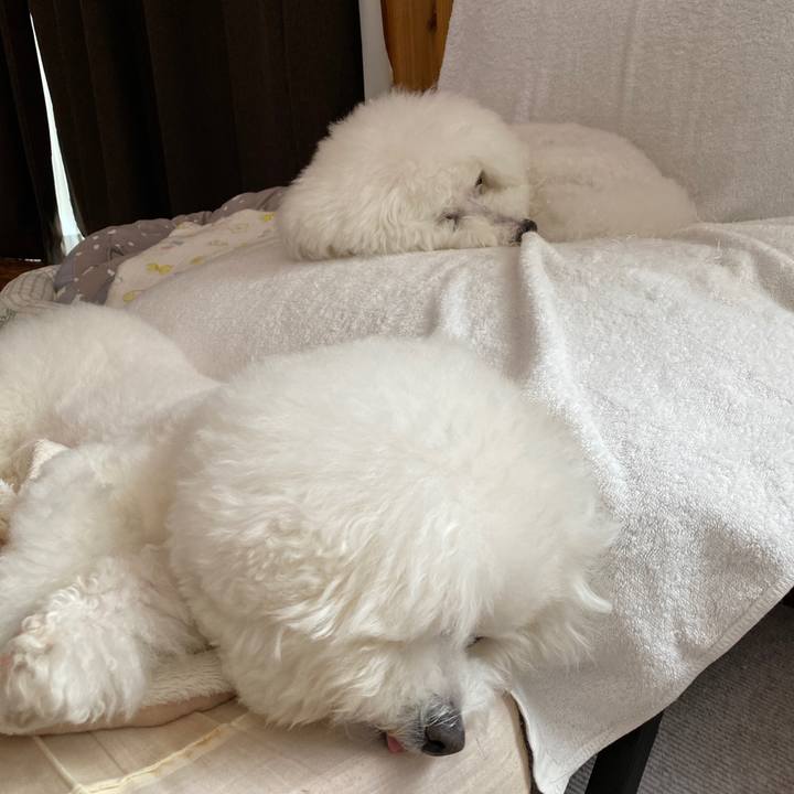 6e59d201 5161 486f 93cf c15cdc1f30c6 1649649900832