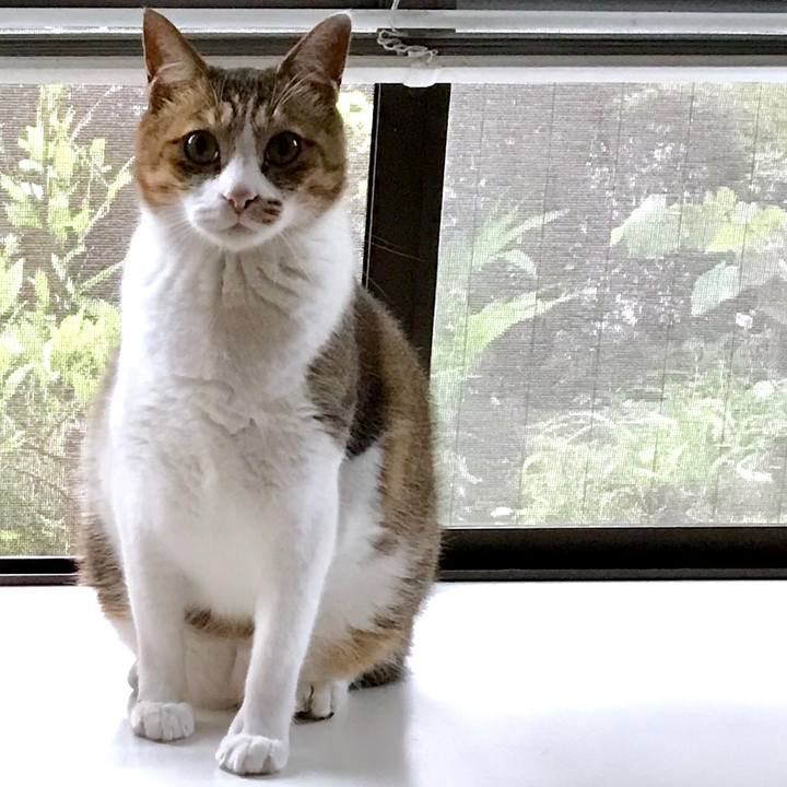 6e5a2da1 0aa3 49c9 bb1b 285a61a1dfb2 1562290071247