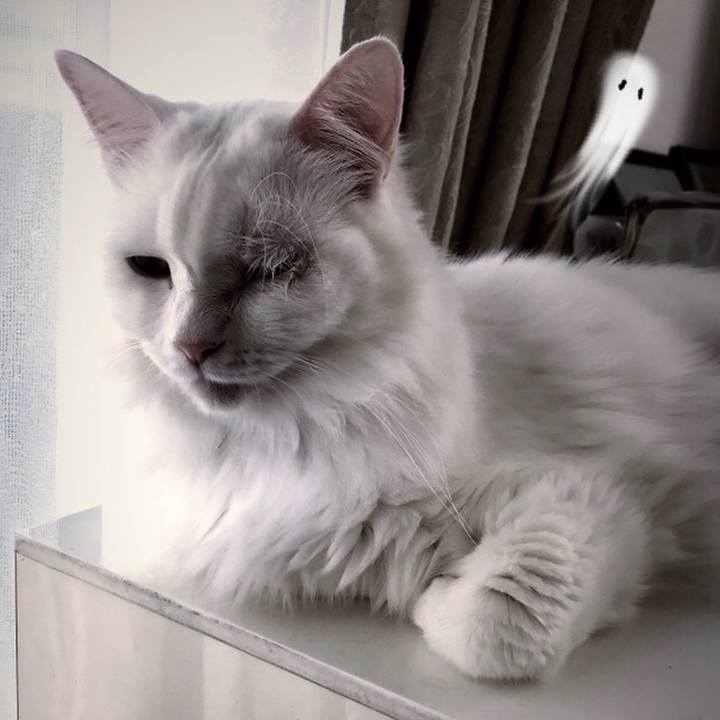 6e5a4441 cac1 4c65 ba42 3743faa28184 1565605484888