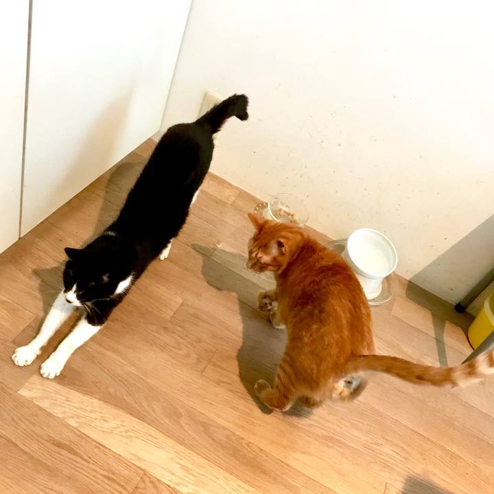 6e5a5219 6843 4a7a a9a4 91fa4338d532 1529030864531