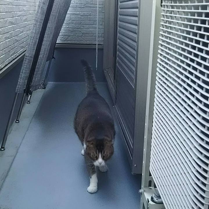 6e5ab7d5 756f 468e bfb0 da03bb3bd0ad 1522543269592